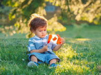 Birth parents, adoptive parents, and adoptees from Canada can all benefit from Canada Adoption Registries. Learn which registries can be most helpful.